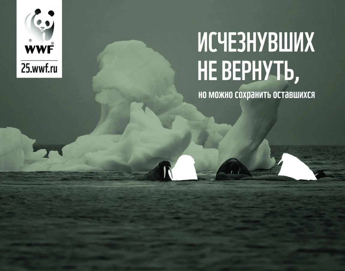 Реклама WWF