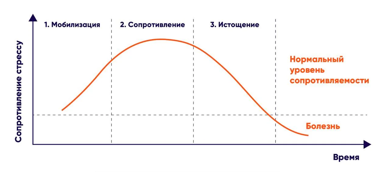 Три стадии стресса по Селье